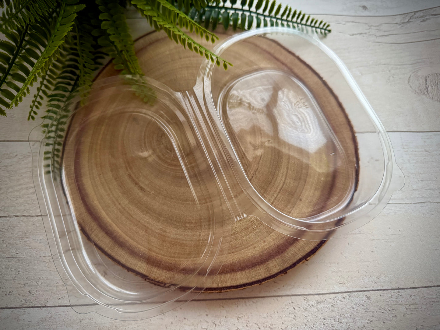 Soap Sponge Clamshell