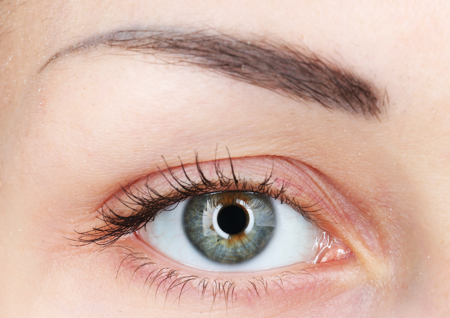 Extreme close-up of a human eye with long dark eyelashes, a defined eyebrow, and a light blue-gray iris.