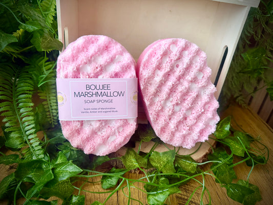 Soap sponge. Sponge infused with soap.